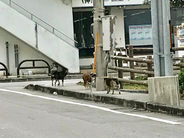 01f3612c911913f8b08d60ee32ba9627dad59d5b24