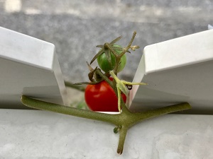 01f6dc6a01c02d0ca1443923b32786bcd08b31f300