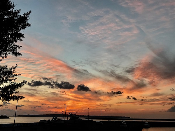 01f6f53df49a762b790e8ba7ac426816edcbc170fb