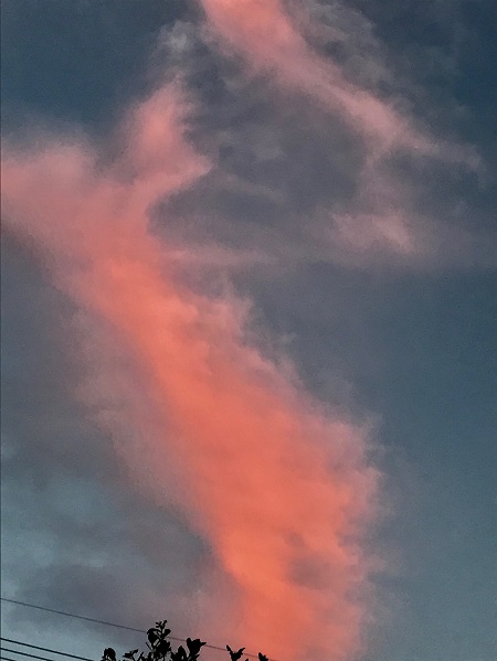 01f75b0c17c02a06cafee6633408c1433896f2d010