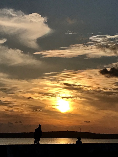 01f8dfc558e38e91989b3dc6fb17e64de4e04c2b7f