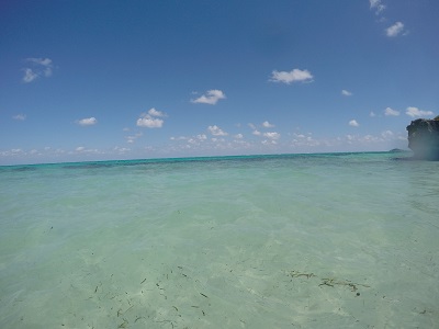 DCIM100GOPROGOPR0549.