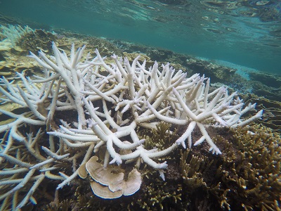 DCIM100GOPROGOPR0955.