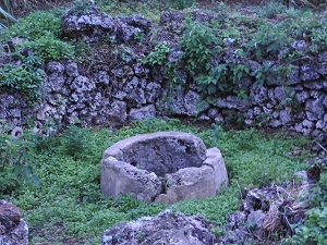 DSCN8731 - コピー