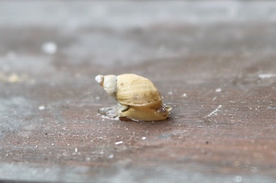 010de5b789cd687b94911b9f7cb57919adfa171f7d