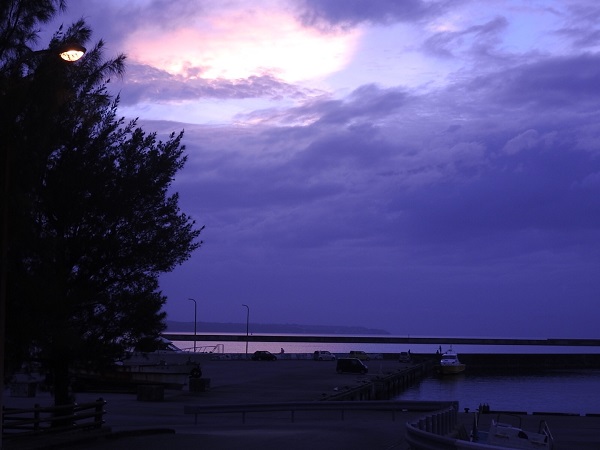 012f98404026d288a9f4a7c14101d4e074820142ed