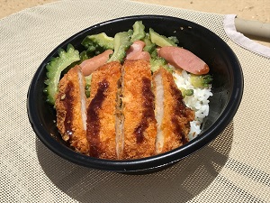 0155919b283e51f5c90011732bb5497d61faa81925