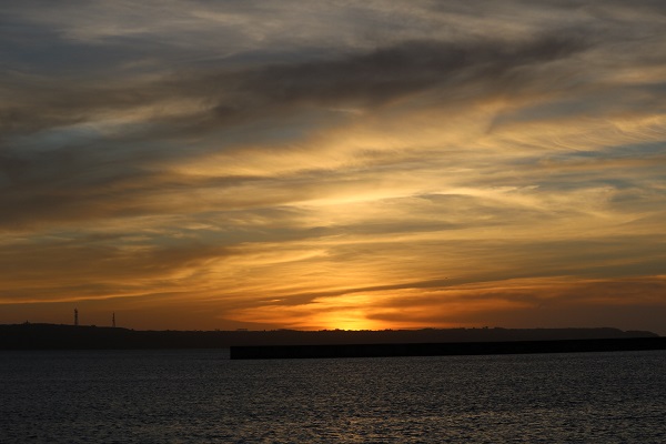 0177722be9cab65564298c266f52a47d4a91083c88_00001