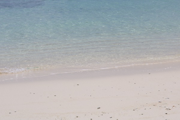 0183ffb5e7cc0e2b734beca1d83c02590fc0ac421d