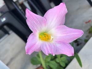 018e62311976263489524dd1e2f6d3358c85aaad6a