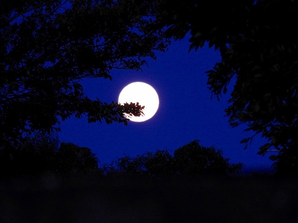 01a5176accee12981f9fc3f0ce3d1e8ce9ce23f897