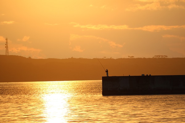 01c47d66e748da3b77208377ca06e9f1bd8a1016b2