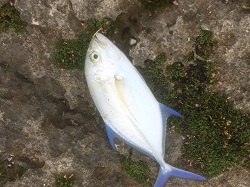 01e95c8d30b409478203edf948d0abdad9a967fd34