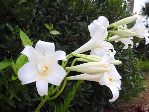 01fbfb2c7d303e2599b4ca1d9f214b76935c266fdf