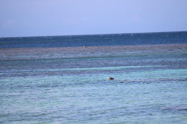 01d5fab70b6e885e960466d4f8e15cced00669c1d9 - コピー - コピー - コピー