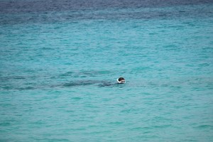 01d1fd28594e3ddd91d943005dd91e80f7ce7d92ac - コピー