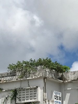 013e3c9d90c4b8053e13e0e1160c9e135703e8c5f2 - コピー