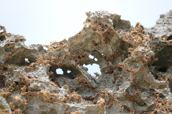 010d57d798d138a310204cf7c7a822142e3033ddfc - コピー - コピー