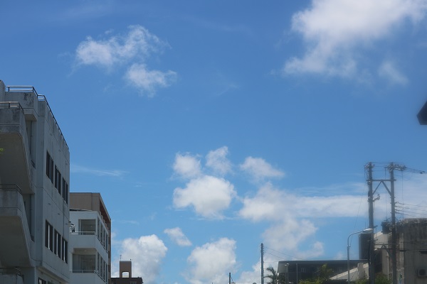 IMG_1906 - コピー