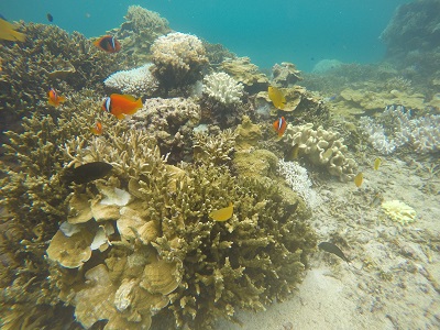 DCIM100GOPROGOPR0972.