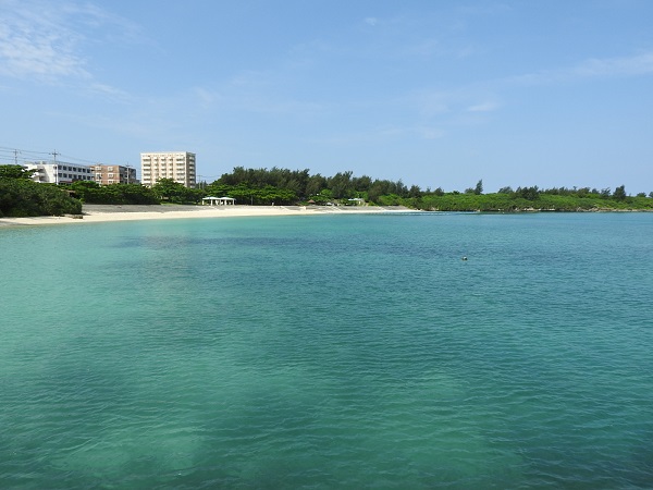 DSCN1861 - コピー