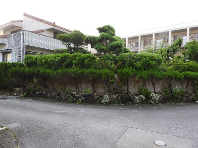 DSCN1800 - コピー