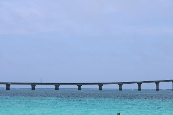 IMG_1880 - コピー