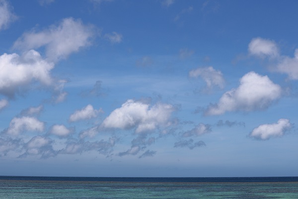 012a63ce6eef258855ba79025c053e69463a437670 - コピー - コピー