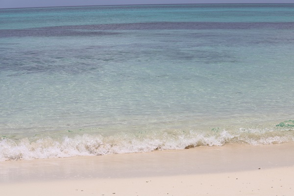 01ffc2a81379ea7f89fbd8b5f290852517dc53adfa - コピー - コピー